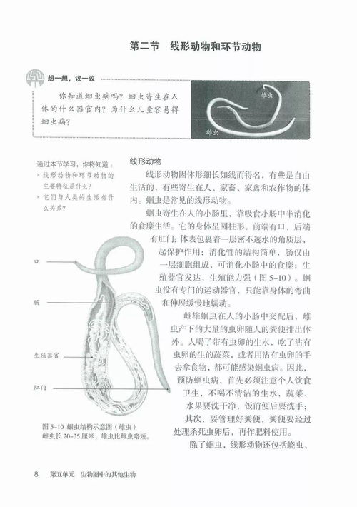 暑期高效預(yù)習(xí)指南 初中生物上冊(cè)第一章知識(shí)精粹與學(xué)習(xí)規(guī)劃