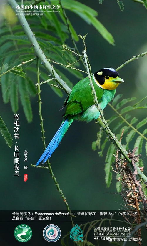 北緯24度 生物多樣性的獨(dú)特魅力與生態(tài)密碼