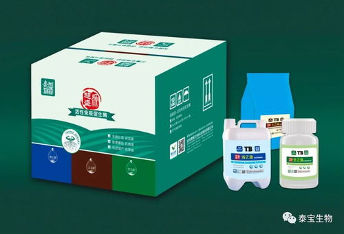 看不見(jiàn)的生命線——根系如何成為作物產(chǎn)量的決定性因素
